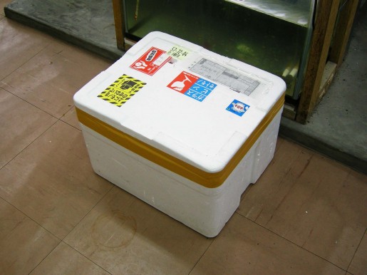 DSCN6974